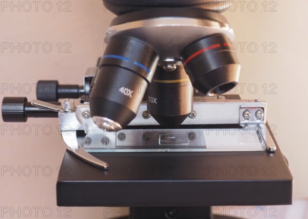 Light microscope detail