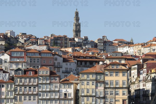 Roofs, historic house facades and the Torre dos Clérigos church tower in the historic centre of Porto, Portugal, Europe