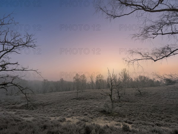 Hiking in winter with frost in the Fischbeker Heide in Hamburg