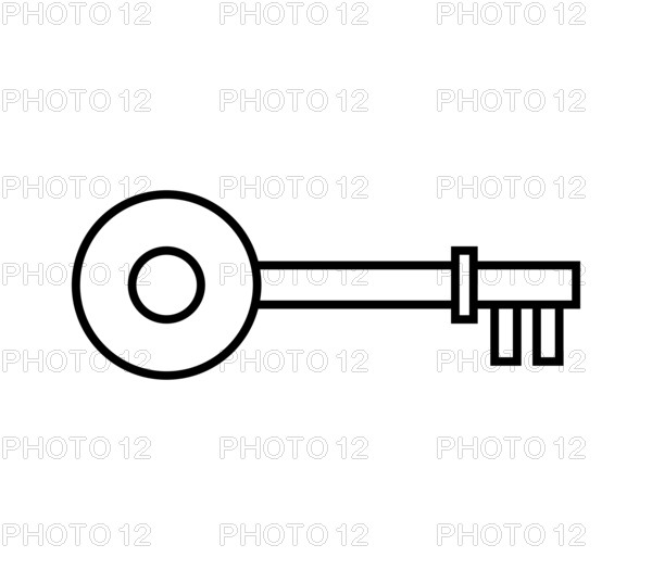 Key icon illustrated in vector on white background
