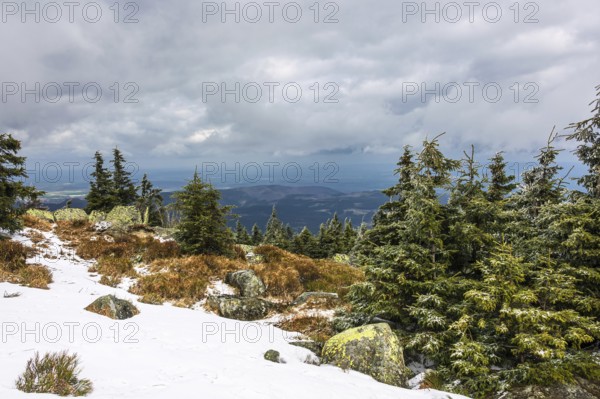 Landscape with snow on the Brocken in the Harz Mountains