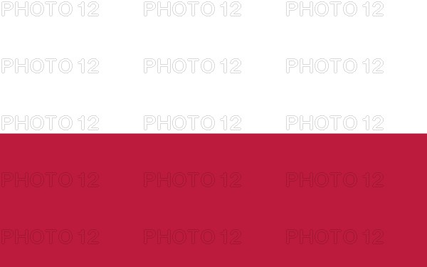 Flag of Poland, Vector illustration