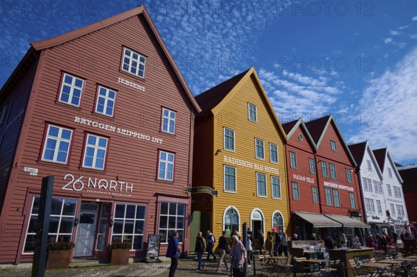 Traditional wooden houses under a blue sky with pitched roofs and multiple windows in a sunny old town, Bryggen, Bergen, Vestland, Norway, Europe