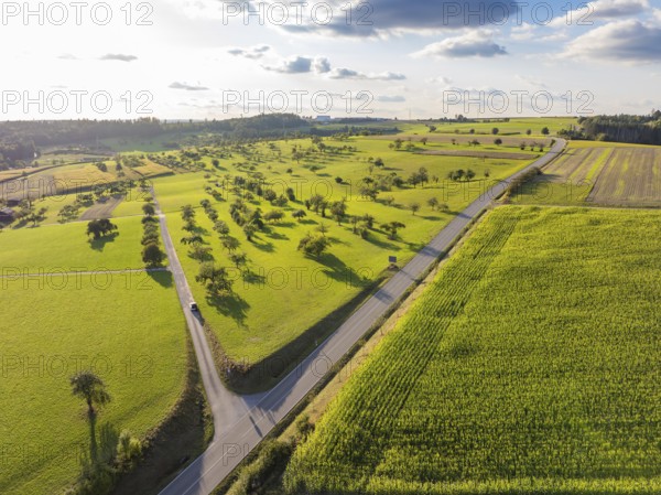 Wide green landscape with fields, trees and a winding road under a slightly cloudy sky