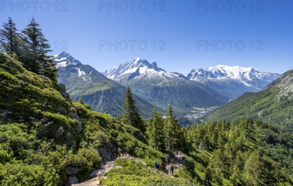 Mountain panorama with glaciated mountain peaks, Aiguille Verte with Aiguille du Midi and Mont Blanc, hike to Aiguillette des Posettes, Chamonix, Haute-Savoie, France, Europe