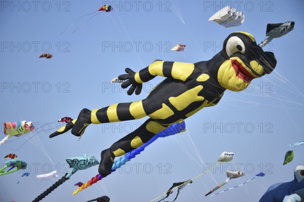 Kite festival, flying kites on Schönberg beach, Schleswig-Holstein, Germany, Europe