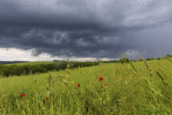 Heavy rain showers and thunderstorms over Possendorf in the Eastern Ore Mountains, Possendorf, Saxony, Germany, Europe