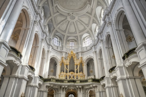 Dresden Cathedral or Cathedral of the Holy Trinity, Catholic Church of the Royal Court of Saxony, Central nave and great organ, Dresden, Saxony, Germany, Europe