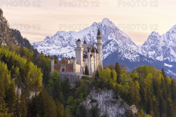 Neuschwanstein Castle near Füssen, evening mood, Schwangau, Allgäu Alps, snow, Ostallgäu, Bavaria, Germany, Europe