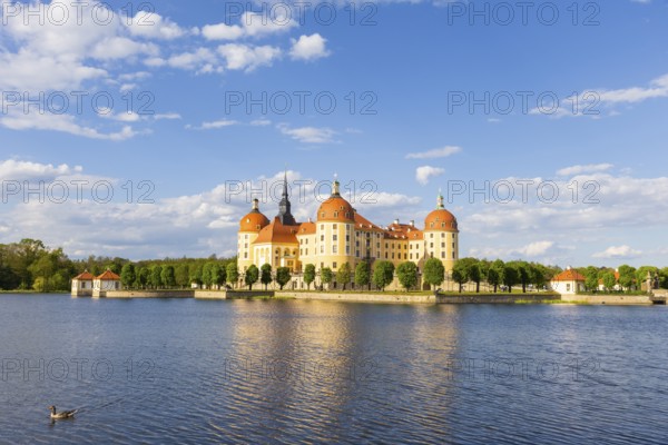 The moated castle, also known as a film set, lies in the middle of a lake and is a popular excursion destination, Moritzburg, Saxony, Germany, Europe