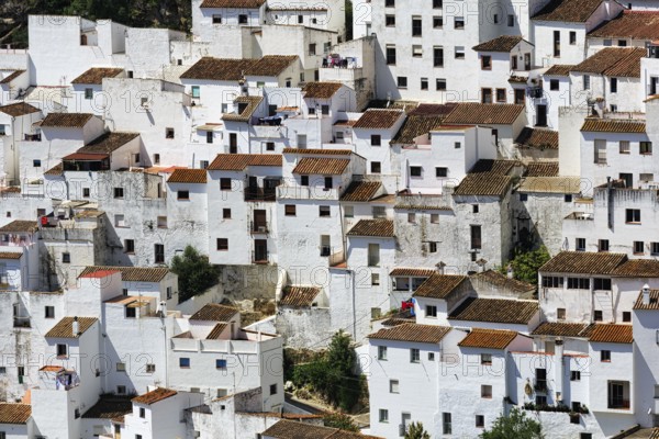 Typical white village of Casares, houses on the hillside, close-up, Route of the white villages, Malaga, Andalusia, Spain, Europe