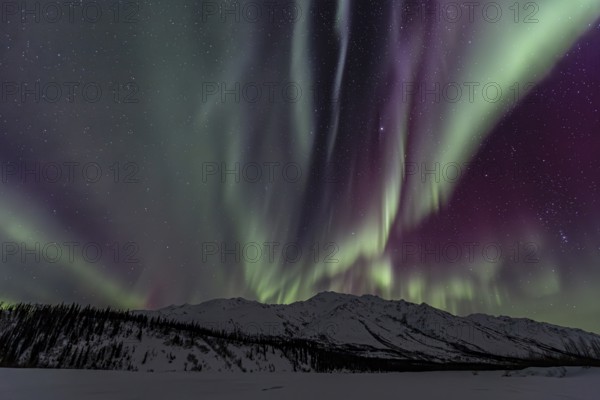 Green, yellow and purple northern lights (aurora borealis) over snowy mountains, northern lights storm, Brooks Range, Alaska, USA, North America