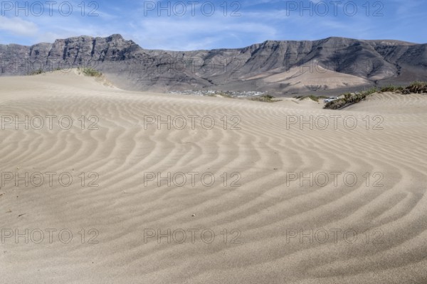 Dune landscape, Playa de Famara, Lanzarote, Canary Islands, Spain, Europe