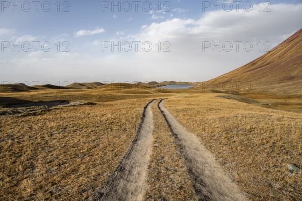 Track through hilly landscape with yellow grass, Trans Alay Mountains, Pamir Mountains, Osh Province, Kyrgyzstan, Asia