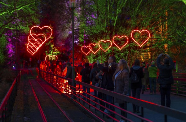Parkleuchten, event in winter, in the Grugapark in Essen, many different light installations, across the park, attract many thousands of visitors, North Rhine-Westphalia, Germany, Europe