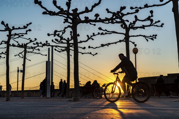 Rhine promenade, Rhine bank at the old town of Düsseldorf, Rheinkniebrücke, cycle path, footpath, spring, bare trees, sunset, North Rhine-Westphalia, Germany, Europe