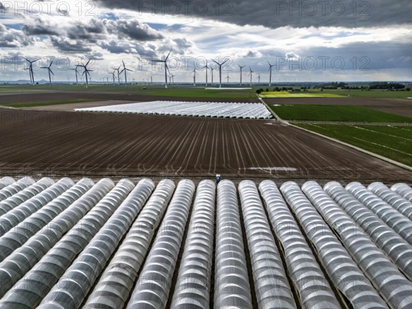Agriculture, large areas with foil tunnel, for the cultivation of strawberries, freshly cultivated fields, wind farm, south of Lövenich, belongs to Erkelenz, in the district of Heinsberg