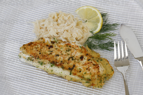 Swabian cuisine, fillet of Lake Constance whitefish with herbs and creamed cabbage, sauerkraut, fish dish, freshwater fish, served on a plate, dill, lemon slice, fish cutlery, typical Swabian cuisine, traditional cuisine reinterpreted, food photography, studio, Germany, Europe
