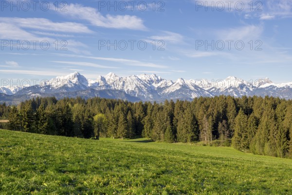 Spring meadow near Füssen, Allgäu Alps, snow, fir forest, Allgäu, Bavaria, Germany, Europe