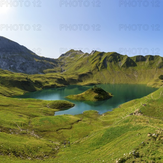 Schrecksee in the midst of green mountains under a clear sky, surrounded by lush vegetation and a small green island, Allgäu Alps, Bad Hindelang, Allgäu, Bavaria, Germany, Europe