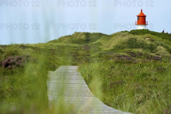 Lighthouse in the dunes, Amrum, North Frisian Islands, Schleswig-Holstein, Germany, Europe