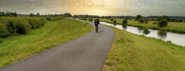 Cyclist on a cycle path by the river, landscape in the Lower Oder Valley National Park, Criewen, Brandenburg, Germany, Europe