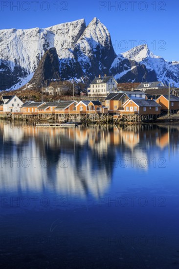 Wooden houses on a fjord off Bergen, morning light, reflection, winter, Reine, Moskenesoya, Lofoten, Norway, Europe