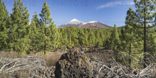 Arena Negras, behind it Pico del Teide, 3715m and Pico Viejo, 3135m, National Park Teide, Tenerife, Canary Islands, Spain, Europe