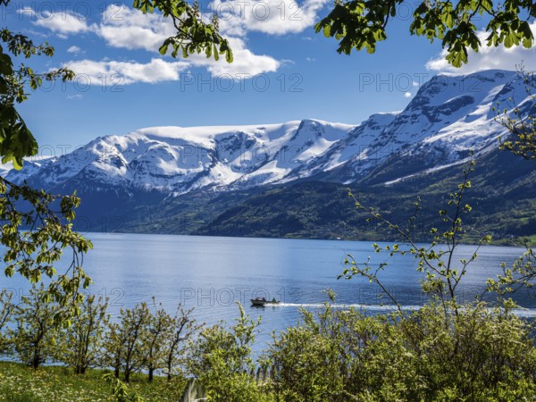 Boat on the fjord, view of snow-covered mountains, fjord and apple trees in bloom, spring, Hardangerfjord near Lofthus, Hardanger, Norway, Europe