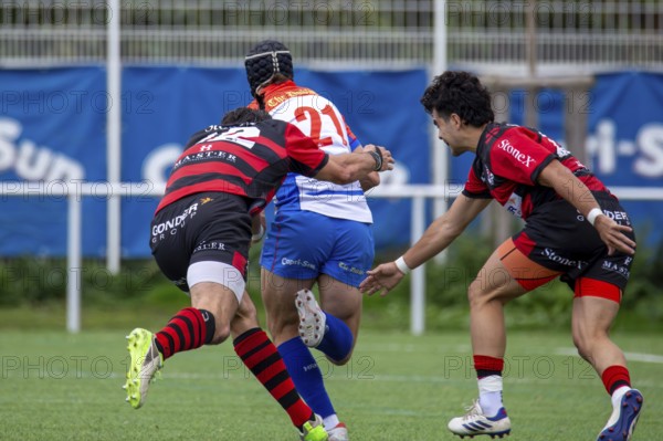 05.10..2024, Rugby 1st Bundesliga South/West, Season 2024/25, Matchday 4: Heidelberger Ruderklub 1872 vs SC Frankfurt 1880