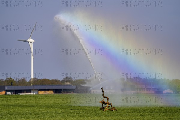 Artificial irrigation of a cereal field in April, with a sprinkler system, long dry spell in spring makes this necessary for the young plants to grow well, Kerken, Lower Rhine, North Rhine-Westphalia, Germany, Europe