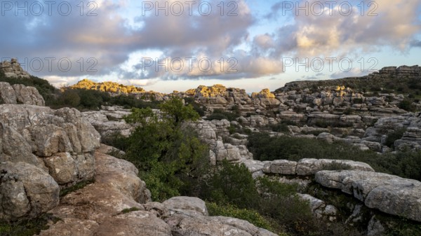 Bizarre limestone rock formations, El Torcal nature reserve, Torcal de Antequera, Malaga province, Andalusia, Spain, Europe