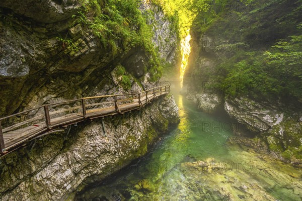Sunlight filters through a narrow canyon illuminating a wooden walkway over a clear emerald river in vintgar gorge near bled, slovenia
