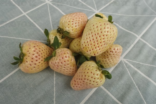 Pineapple strawberry, white pineapple strawberry, pineberry, special strawberry variety, fruit, berries, healthy, tasty, food photography, studio, Germany, Europe