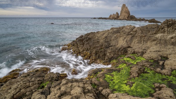 Rocky coast, Cabo de Gata-Nijar Natural Park, Almeria, Andalusia, Spain, Europe
