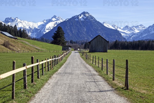 Path through meadows between Rubi and Oberstdorf, behind mountains of the Allgäu Alps, Oberallgäu, Allgäu, Bavaria, Germany, Europe