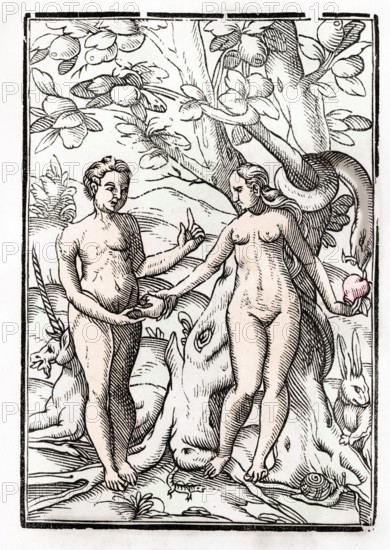 Adam und Eva im Garten Eden Aus Der Todten Tanz oder The Dance of Death erschienen in Basel 1843, Adam and Eve in the Garden of Eden From Der Todten Tanz or The Dance of Death published Basel 1843, Historic, digitally restored reproduction from a 19th century original, Record date not stated