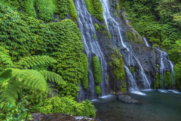 Banyumala twin waterfalls, waterfall, jungle, rainforest, water, nature, botany, holiday, paradise, nobody, landscape, tourism, travel, Bali, Indonesia, Asia