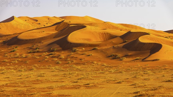 Wind-sculpted curved sand dunes in the Rub al Khali desert, Dhofar province, Arabian Peninsula, Sultanate of Oman