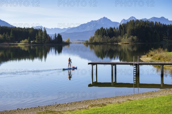A person paddles with a surfboard on a calm lake with mountain views and wooded shores, Forggensee, Ostallgäu, Allgäu, Bavaria, Germany, Europe