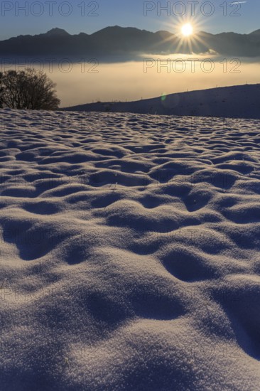 Sunrise over a snow-covered mountain landscape, Großweil, Alpine foothills, Upper Bavaria, Bavaria, Germany, Europe