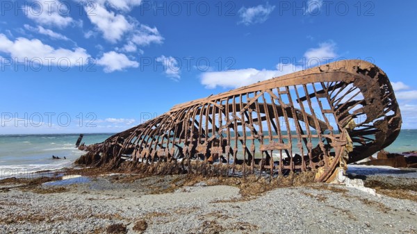 Wreck of the Amadeoan of the Strait of Magellan, Patagonia, Tierra del Fuego, Argentina, South America