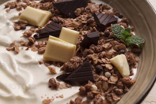 Yogurt with chocolate muesli, breakfast, close-up, fork on top, no people