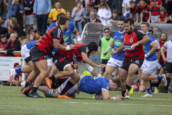 Heidelberg, 15.06.2024, Rugby 1st Bundesliga, 2023/24 season, final for the German championship: SC Frankfurt 1880 against SC Neuenheim