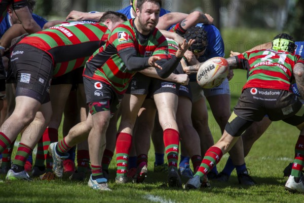 Heidelberg, 06.04.2024, Rugby 1st Bundesliga South/West, Season 2023/24, Matchday 10: SC Neuenheim vs RK Heusenstamm (93:7)