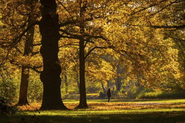 The Great Garden in Dresden is a park of Baroque origin. The Great Garden has been remodelled many times in the course of its more than three hundred years of history, although the basic baroque structure has remained recognisable., Dresden, Saxony, Germany, Europe