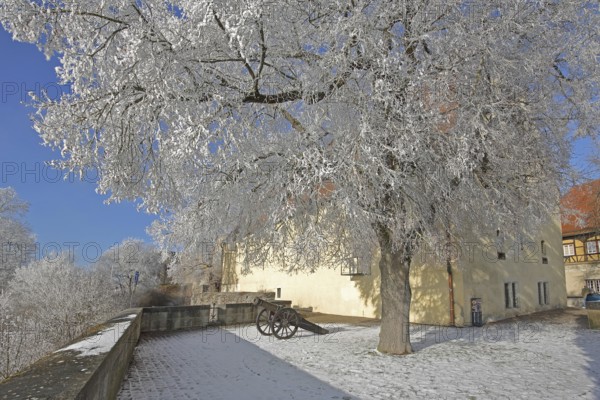 Medieval cannon with chariot wheels in winter, snow, frost, hoarfrost, Hellenstein Castle, Heidenheim an der Brenz, Swabian Alb, Baden-Württemberg, Germany, Europe