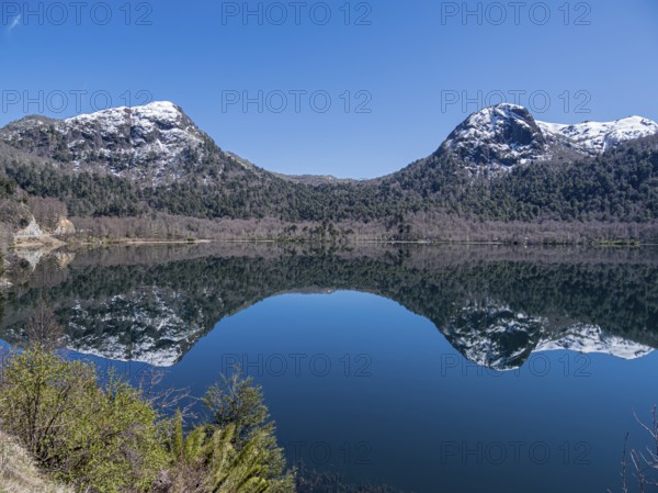 Lake Lago Quilleihue, calm surface, reflections on the water, araucaria trees, Villarica NP near Paso Tromen Ó Mamuil Malal, Chile, South America