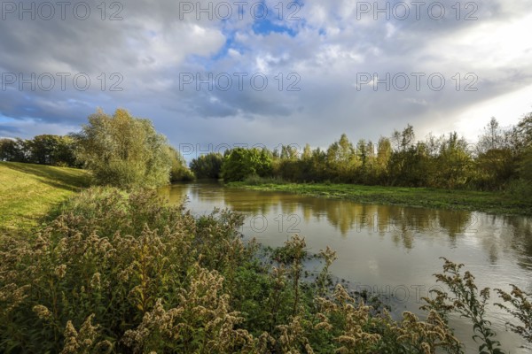 Bergkamen, Ruhr area, North Rhine-Westphalia, Germany, autumn landscape on the Seseke. The renaturalised Seseke, a tributary of the Lippe, has been transformed into a near-natural watercourse, flood protection and biodiversity through newly designed floodplains. Following the construction of a parallel sewer, the Seseke is now free of wastewater, having previously been an open, above-ground wastewater sewer, combined sewer with surface water and wastewater, Europe