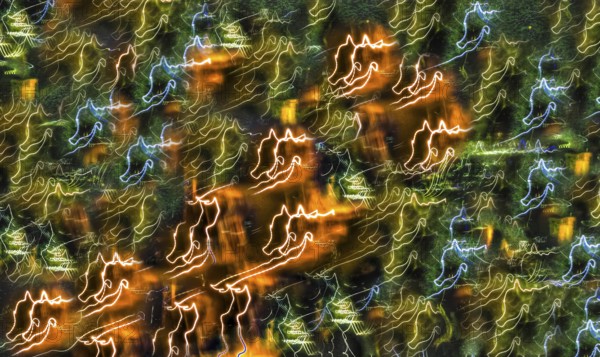 Creative shot, abstract, dancing light, night shot, light reflections, blurred, zoom, creative, colourful, colourful, all over, background, pattern, pattern, art, wrapping paper, design, artistic, seahorse, motif, Germany, Europe